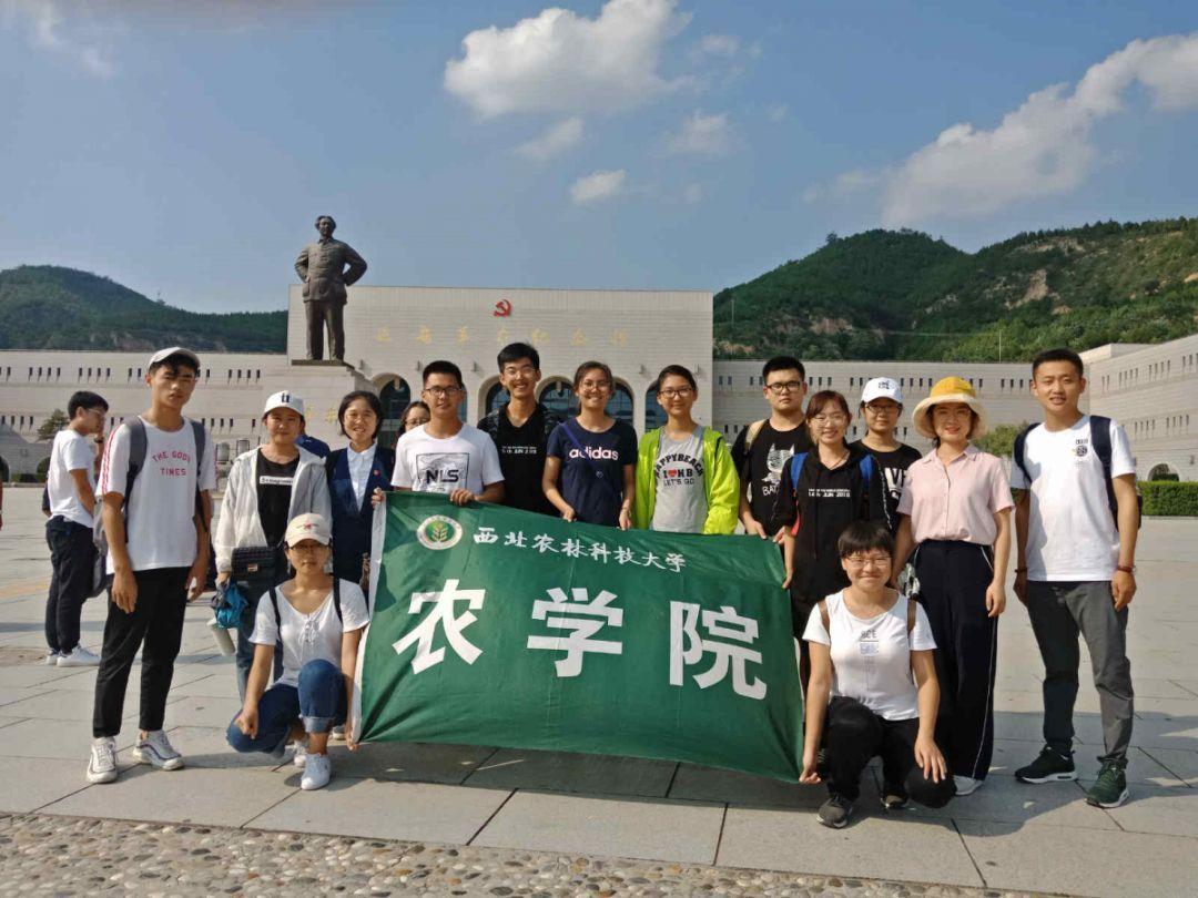 盒子的挑战